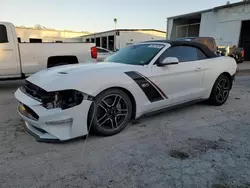 Salvage cars for sale at Riverview, FL auction: 2022 Ford Mustang GT