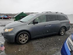 Honda salvage cars for sale: 2012 Honda Odyssey EXL