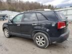 2011 KIA Sorento Base