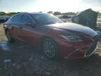 2023 Lexus ES 350 Base