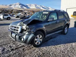 Salvage cars for sale at Reno, NV auction: 2009 Ford Escape Hybrid