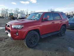 Toyota salvage cars for sale: 2019 Toyota 4runner SR5