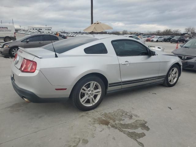 2010 Ford Mustang