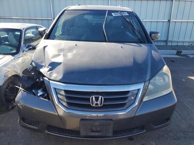 2010 Honda Odyssey EXL