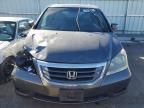 2010 Honda Odyssey EXL