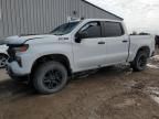 2023 Chevrolet Silverado K1500 Trail Boss Custom