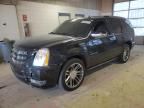 2013 Cadillac Escalade Premium