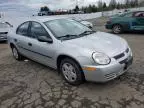 2004 Dodge Neon Base