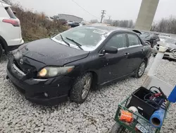 Salvage cars for sale at Wayland, MI auction: 2010 Toyota Corolla Base