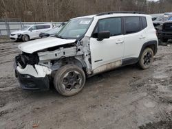 Salvage cars for sale at Hurricane, WV auction: 2017 Jeep Renegade Sport