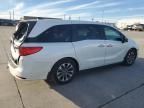 2023 Honda Odyssey EXL