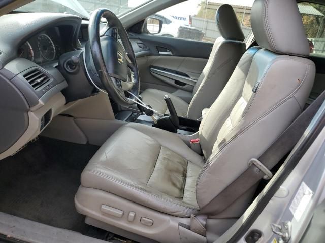 2008 Honda Accord EXL