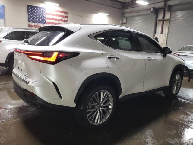 2024 Lexus NX 350H Base