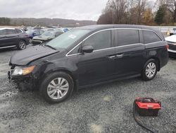 Vehiculos salvage en venta de Copart Concord, NC: 2016 Honda Odyssey EXL