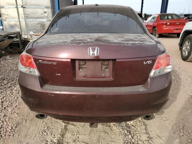 2010 Honda Accord EXL