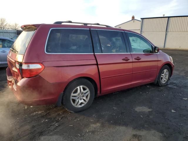 2006 Honda Odyssey EXL