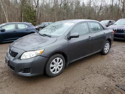 2010 Toyota Corolla Base en venta en Cookstown, ON