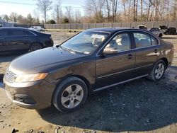 Salvage cars for sale at Waldorf, MD auction: 2009 KIA Optima LX