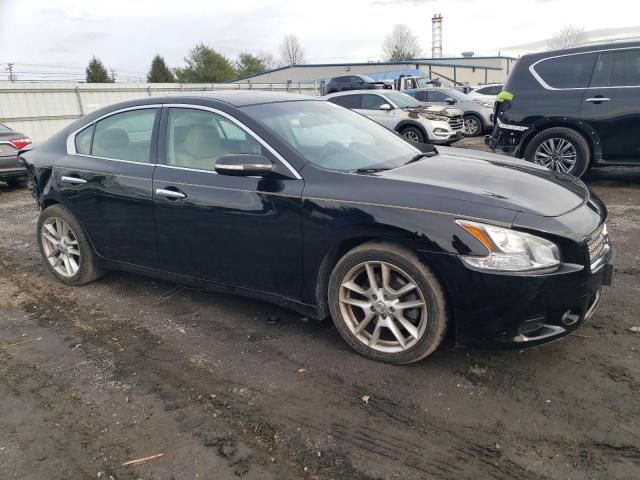 2010 Nissan Maxima S