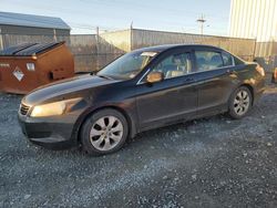 Honda salvage cars for sale: 2009 Honda Accord EXL