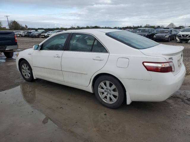 2008 Toyota Camry Hybrid