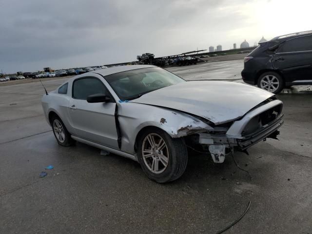 2013 Ford Mustang