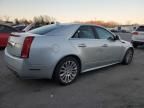 2011 Cadillac CTS Performance Collection