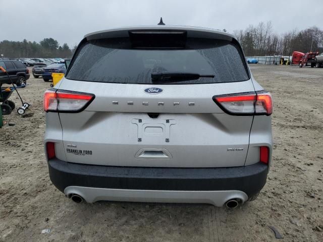 2020 Ford Escape SE