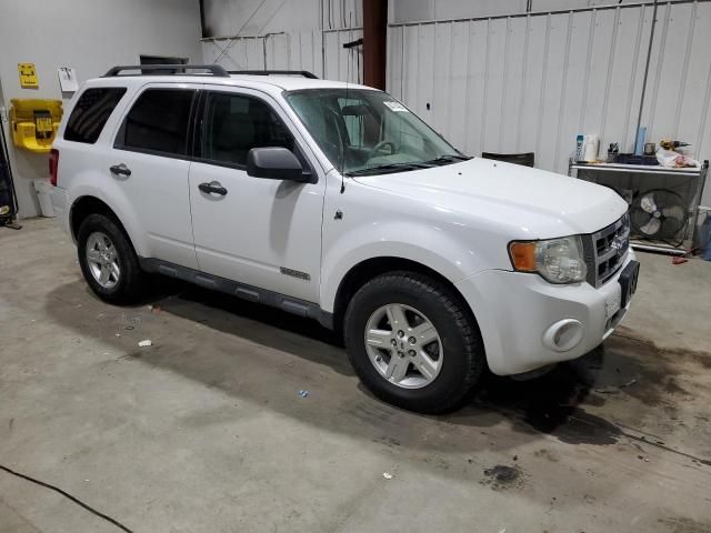 2008 Ford Escape HEV