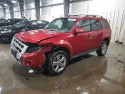 Salvage cars for sale at Ham Lake, MN auction: 2012 Ford Escape Limited