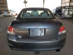 2010 Honda Accord LXP