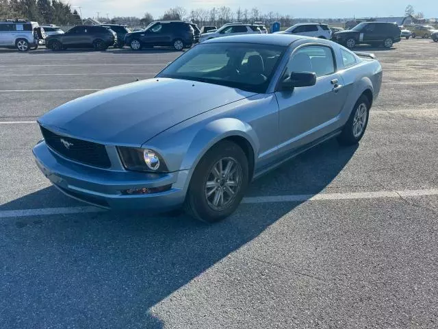 2005 Ford Mustang