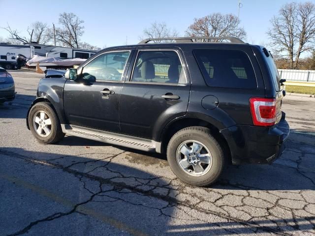 2011 Ford Escape XLT