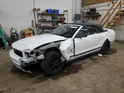 Salvage cars for sale at Ham Lake, MN auction: 2007 Ford Mustang