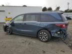 2025 Honda Odyssey EXL