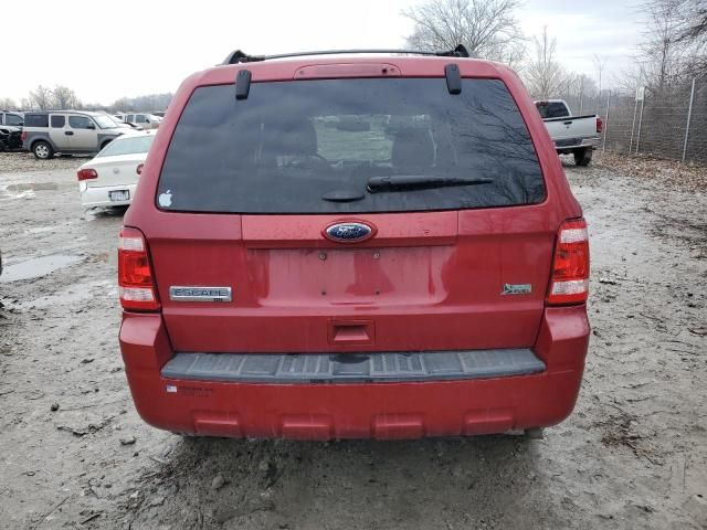 2011 Ford Escape XLT