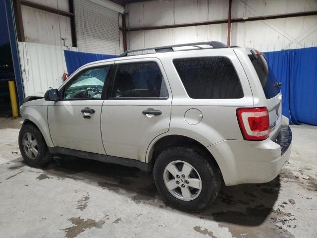 2009 Ford Escape XLT