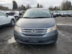 2013 Honda Odyssey EX