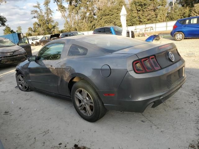 2013 Ford Mustang