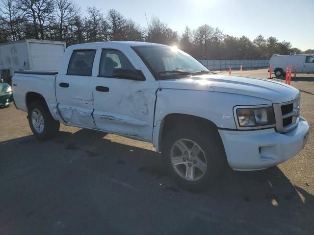 2011 Dodge Dakota SLT