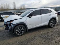 Salvage cars for sale from Copart Arlington, WA: 2021 Lexus NX 300 Base