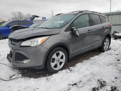 Salvage cars for sale at Chicago Heights, IL auction: 2013 Ford Escape SE