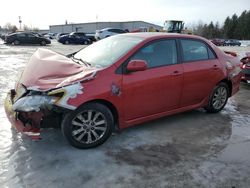 Toyota salvage cars for sale: 2010 Toyota Corolla Base