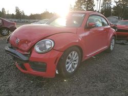 Volkswagen Beetle salvage cars for sale: 2019 Volkswagen Beetle S