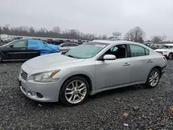 Nissan Vehiculos salvage en venta: 2009 Nissan Maxima S