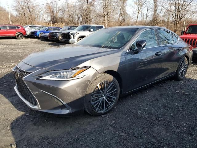 2023 Lexus ES 350 Base