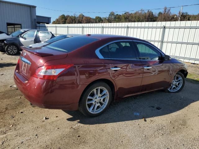 2010 Nissan Maxima S