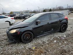 Ford Focus st salvage cars for sale: 2013 Ford Focus ST