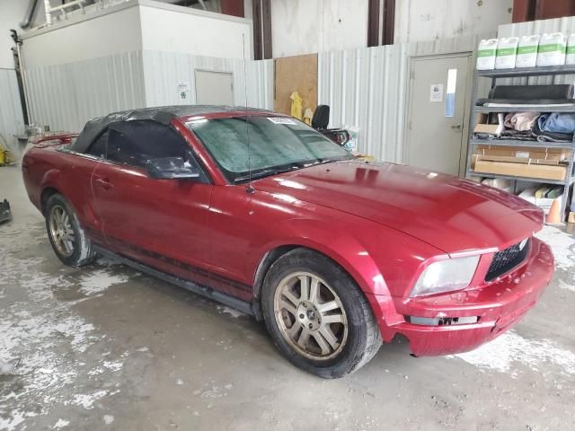 2005 Ford Mustang