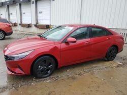 2021 Hyundai Elantra SEL en venta en Louisville, KY